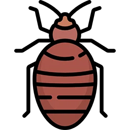 Клопы